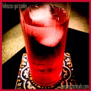 hibiscus gin cooler
